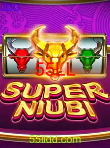 SuperNiubi